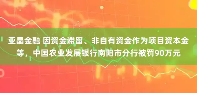 亚晶金融 因资金滞留、非自有资金作为项目资本金等，中国农业发展银行南阳市分行被罚90万元