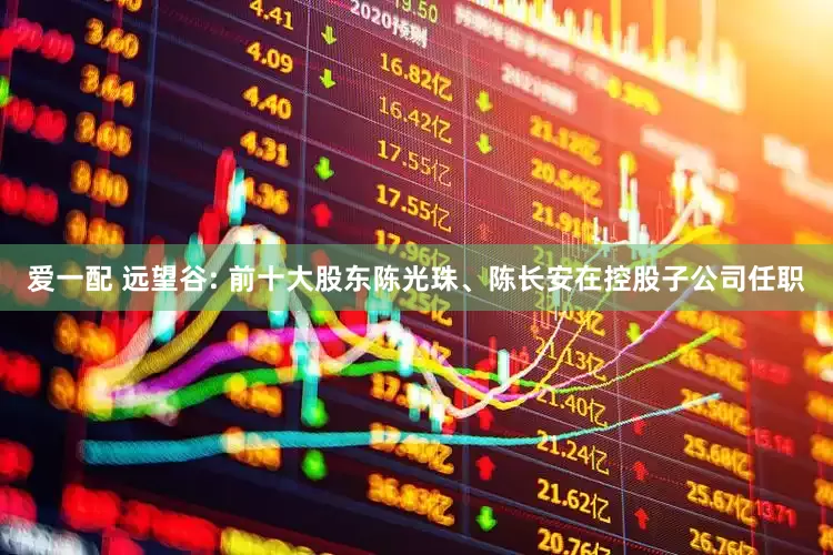 爱一配 远望谷: 前十大股东陈光珠、陈长安在控股子公司任职